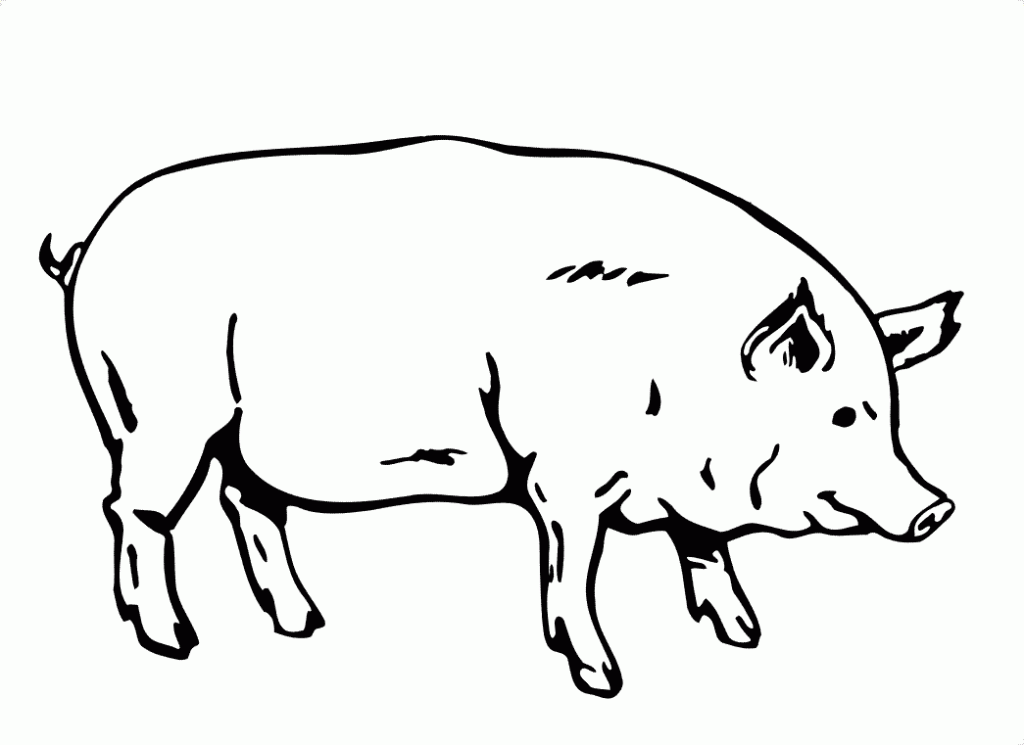 Plansa de colorat cu Porc 13 5